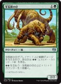 【JPN】牙長獣の仔/Longtusk Cub[MTG_KLD_161U]