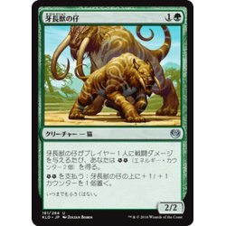 画像1: 【JPN】牙長獣の仔/Longtusk Cub[MTG_KLD_161U]