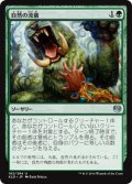 【JPN】自然の流儀/Nature's Way[MTG_KLD_162U]