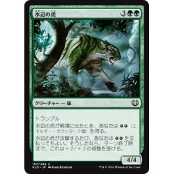 画像1: 【JPN】水辺の虎/Riparian Tiger[MTG_KLD_167C]