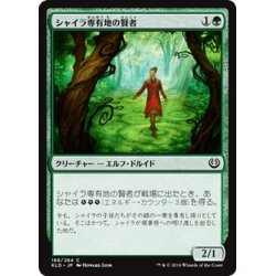 画像1: 【JPN】シャイラ専有地の賢者/Sage of Shaila's Claim[MTG_KLD_168C]