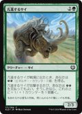 【JPN】亢進するサイ/Thriving Rhino[MTG_KLD_171C]