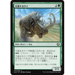 画像1: 【JPN】亢進するサイ/Thriving Rhino[MTG_KLD_171C]