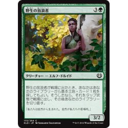 画像1: 【JPN】野生の放浪者/Wild Wanderer[MTG_KLD_173C]