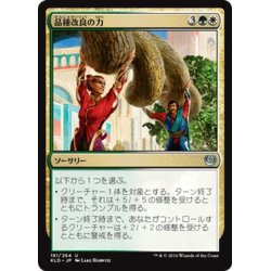 画像1: 【JPN】品種改良の力/Engineered Might[MTG_KLD_181U]