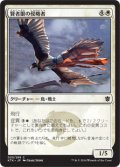 【JPN】賢者眼の侵略者/Sage-Eye Harrier[MTG_KTK_020C]