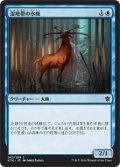 【JPN】湿地帯の水鹿/Wetland Sambar[MTG_KTK_062C]