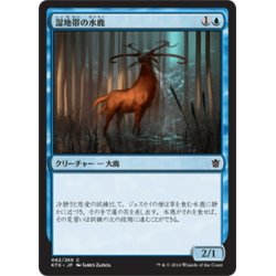 画像1: 【JPN】湿地帯の水鹿/Wetland Sambar[MTG_KTK_062C]