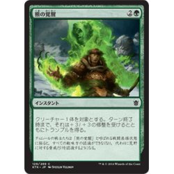 画像1: 【JPN】熊の覚醒/Awaken the Bear[MTG_KTK_129C]