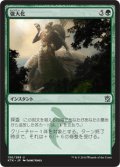 【JPN】強大化/Become Immense[MTG_KTK_130U]