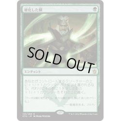 画像1: 【JPN】硬化した鱗/Hardened Scales[MTG_KTK_133R]