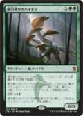 【JPN】頭巾被りのハイドラ/Hooded Hydra[MTG_KTK_136M]