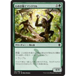 画像1: 【JPN】わめき騒ぐマンドリル/Hooting Mandrills[MTG_KTK_137C]