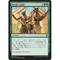 画像1: 【JPN】増え続ける成長/Incremental Growth[MTG_KTK_138U]