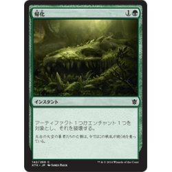 画像1: 【JPN】帰化/Naturalize[MTG_KTK_142C]