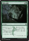 【JPN】境界の偵察/Scout the Borders[MTG_KTK_148C]