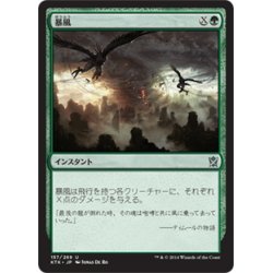 画像1: 【JPN】暴風/Windstorm[MTG_KTK_157U]