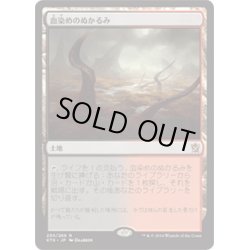 画像1: 【JPN】血染めのぬかるみ/Bloodstained Mire[MTG_KTK_230R]