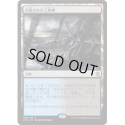 画像1: 【JPN】汚染された三角州/Polluted Delta[MTG_KTK_239R]