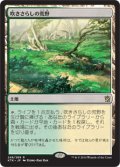 【JPN】吹きさらしの荒野/Windswept Heath[MTG_KTK_248R]