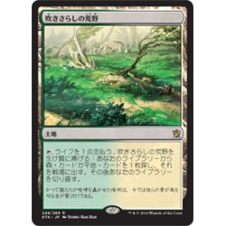 画像1: 【JPN】吹きさらしの荒野/Windswept Heath[MTG_KTK_248R]