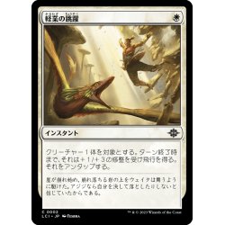 画像1: 【JPN】軽業の跳躍/Acrobatic Leap[MTG_LCI_002C]