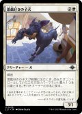 【JPN】悪戯好きの子犬/Mischievous Pup[MTG_LCI_025U]