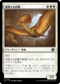 【JPN】飛翔する砂翼/Soaring Sandwing[MTG_LCI_035C]