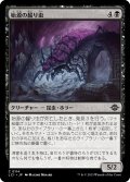 【JPN】始源の齧り虫/Primordial Gnawer[MTG_LCI_114C]