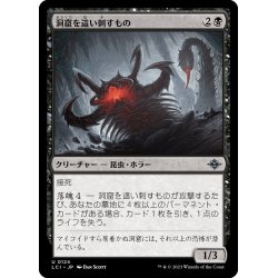 画像1: 【JPN】洞窟を這い刺すもの/Stinging Cave Crawler[MTG_LCI_124U]