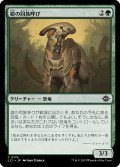 【JPN】鎧の同族呼び/Armored Kincaller[MTG_LCI_174C]