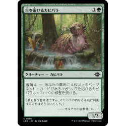 画像1: 【JPN】日を浴びるカピバラ/Basking Capybara[MTG_LCI_175C]