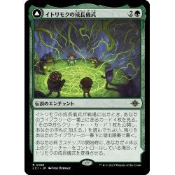 画像1: 【JPN】イトリモクの成長儀式/Growing Rites of Itlimoc/太陽の揺籃の地、イトリモク/Itlimoc, Cradle of the Sun[MTG_LCI_188R]