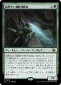 【JPN】翡翠光の洞窟探検家/Jadelight Spelunker[MTG_LCI_196R]