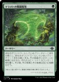 【JPN】マラメトの戦闘象形/Malamet Battle Glyph[MTG_LCI_198U]