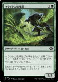 【JPN】マラメトの喧嘩屋/Malamet Brawler[MTG_LCI_199C]