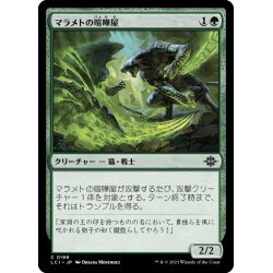 画像1: 【JPN】マラメトの喧嘩屋/Malamet Brawler[MTG_LCI_199C]