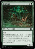 【JPN】竪坑の蜘蛛/Mineshaft Spider[MTG_LCI_202C]