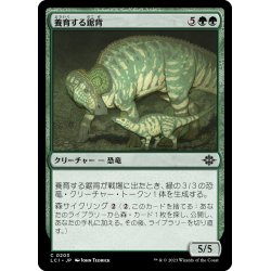 画像1: 【JPN】養育する鋸背/Nurturing Bristleback[MTG_LCI_203C]