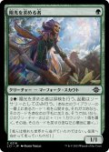 【JPN】陽光を求める者/Seeker of Sunlight[MTG_LCI_210C]