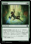 【JPN】洞窟探検/Spelunking[MTG_LCI_213U]