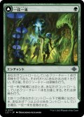 【JPN】一往一来/Twists and Turns/マイコイドの迷路/Mycoid Maze[MTG_LCI_217U]