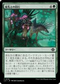 【JPN】祖先との同行/Walk with the Ancestors[MTG_LCI_218C]