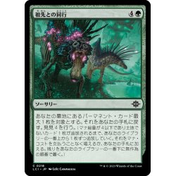 画像1: 【JPN】祖先との同行/Walk with the Ancestors[MTG_LCI_218C]