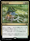 【JPN】もがく出現/Squirming Emergence[MTG_LCI_241R]