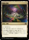 【JPN】魅惑の洞窟/Captivating Cave[MTG_LCI_268C]