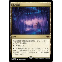 画像1: 【JPN】魂の洞窟/Cavern of Souls[MTG_LCI_269M]