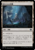 【JPN】忘れられた聖像/Forgotten Monument[MTG_LCI_272U]