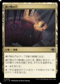 【JPN】捧げ物の穴/Pit of Offerings[MTG_LCI_278U]