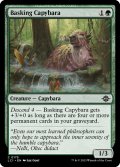 【ENG】日を浴びるカピバラ/Basking Capybara[MTG_LCI_175C]